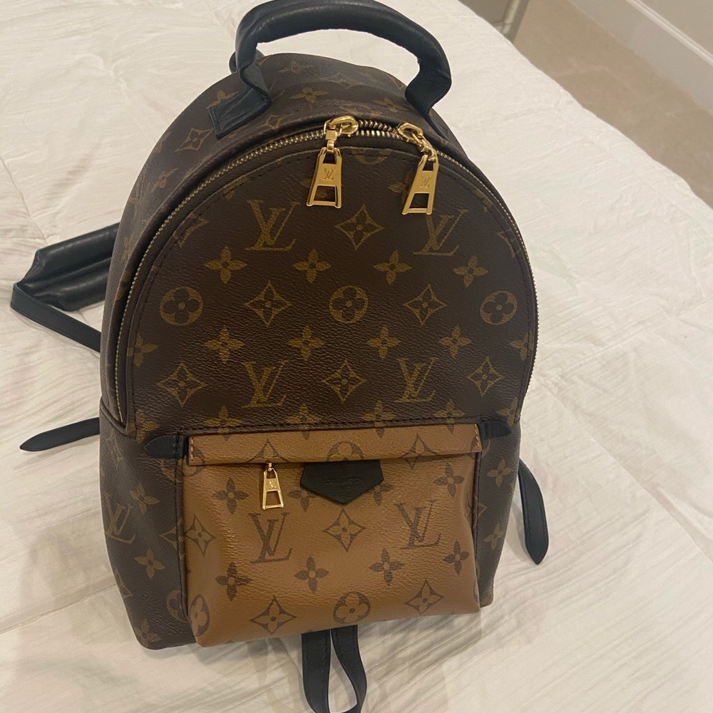 LV Monogram Reverse Palm Springs Backpack PM